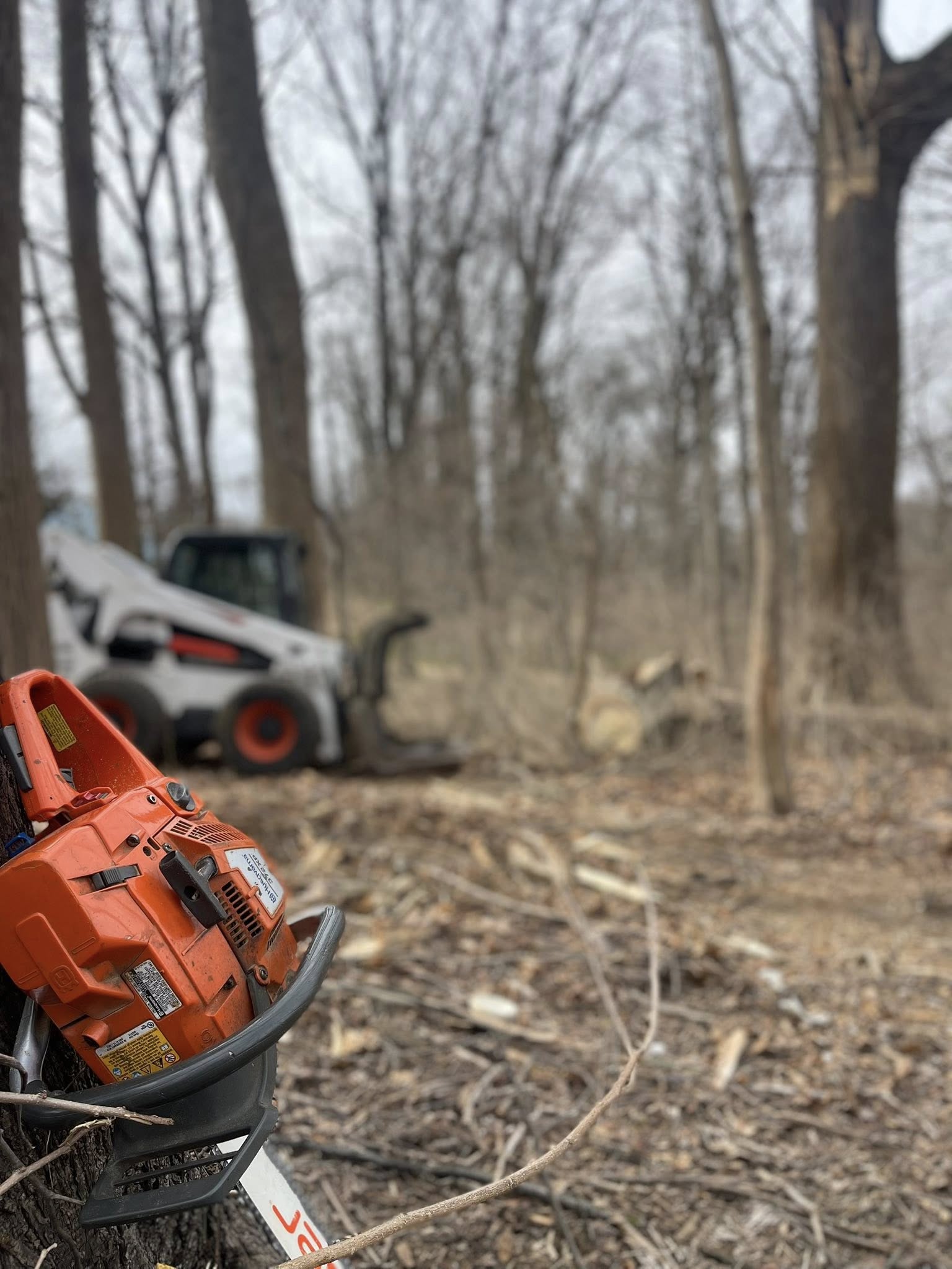 Homestead Tree Service Home - Homestead Tree & Forestry Services Of Pa – Fast, Clean ...