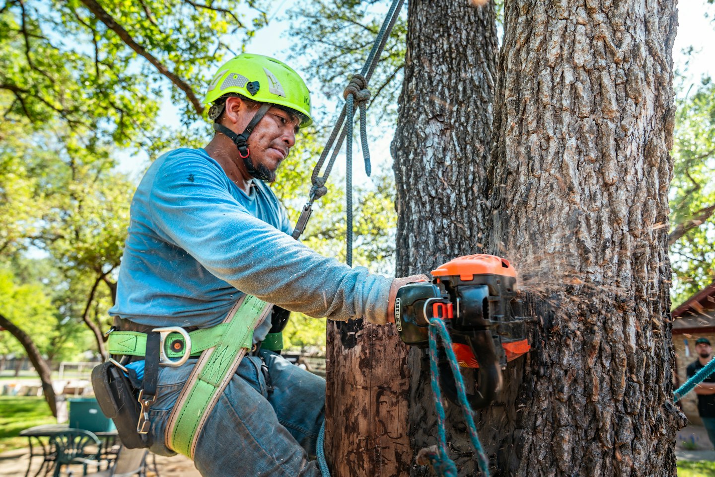 Trusted Amish Tree Care Excellence
